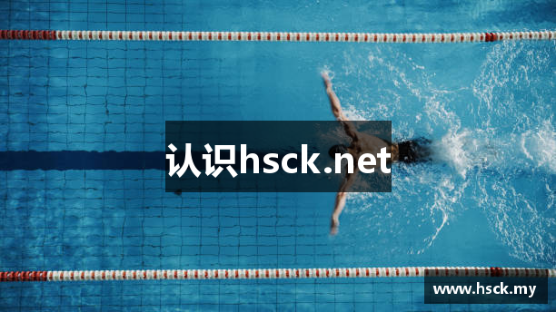 认识hsck.net
